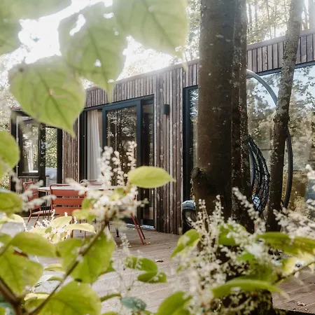 Holiday home Cozy I Tiny House Seecontainer Goslar